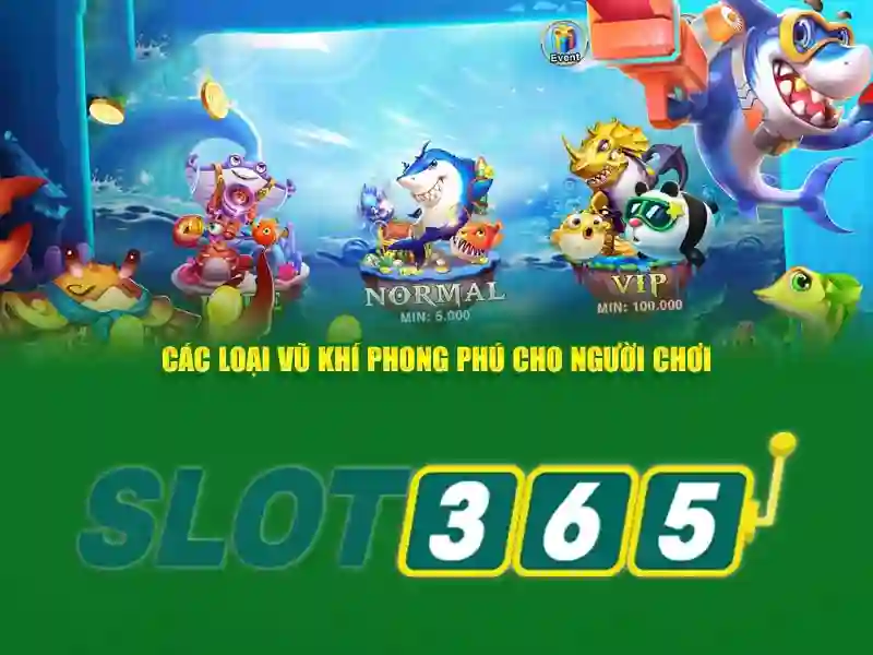 Trải nghiệm người dùng trên di động và máy tính