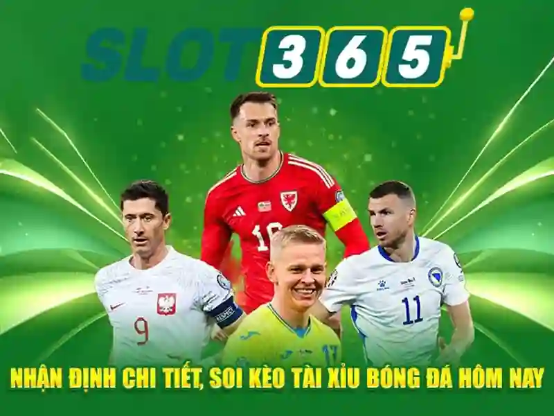 Lựa chọn khởi đầu cho người mới tham gia Slot365