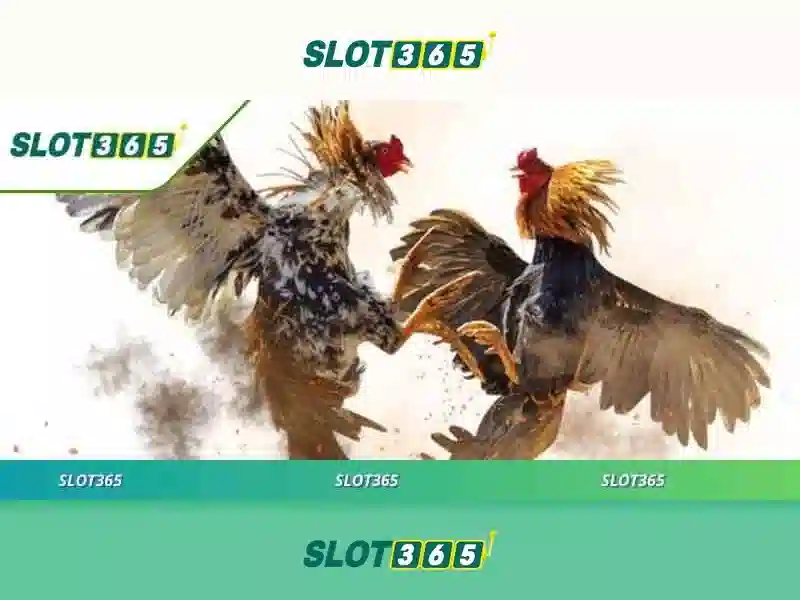Các tính năng nổi bật của Slot365