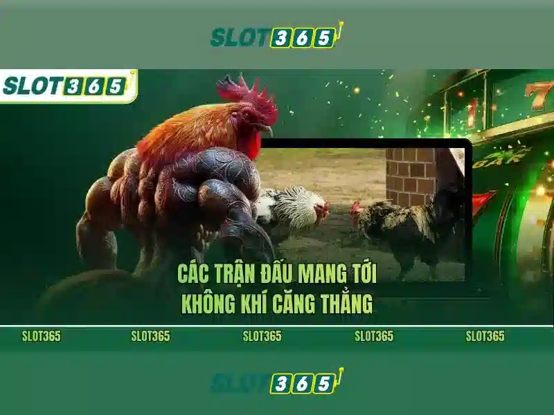 Slot365: Nền tảng máy xèng trực tuyến tại Việt Nam