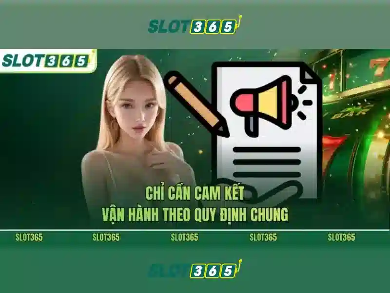 Tổng kết và khuyến nghị