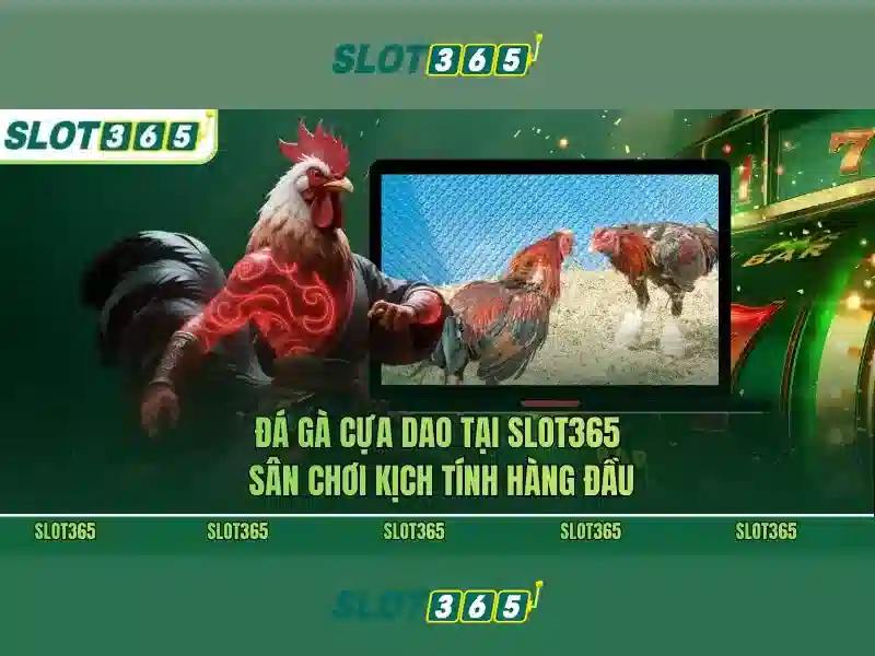 Slot365 - Tổng quan về nhà cung cấp trò chơi slots và đánh giá
