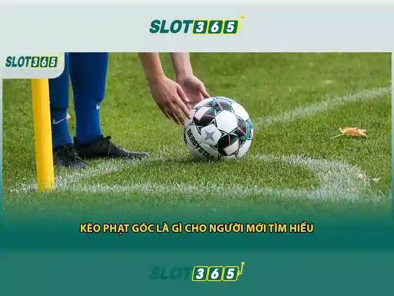 Ups và canh tranh cua slot365 com1