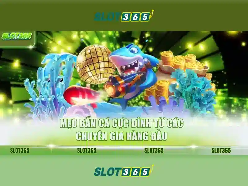 link dự phòng Slot365 – Tổng quan chủ đề và giá trị cốt lõi