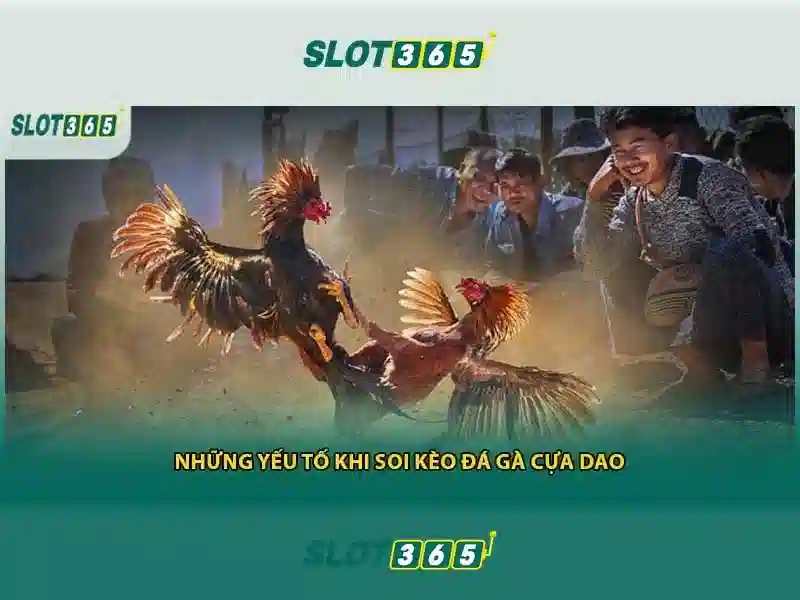 Khuyến mãi và phần thưởng tại Slot365