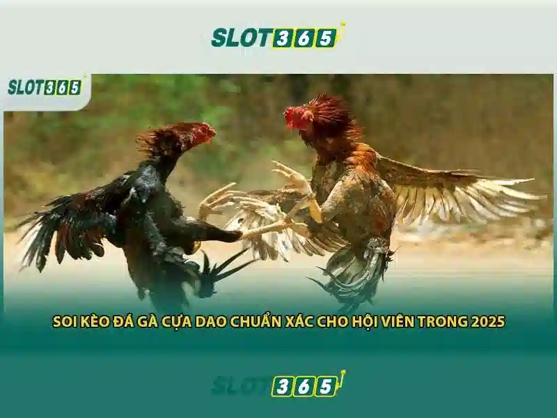 nhận thưởng Slot365 – Tổng quan chủ đề và giá trị cốt lõi