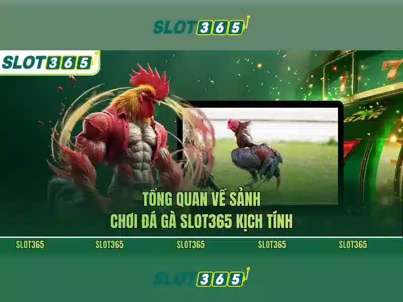 Slot365: Đánh giá và Giới thiệu về nền tảng slot trực tuyến