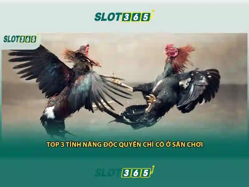 Slot365: Trải nghiệm casino trực tuyến đẳng cấp