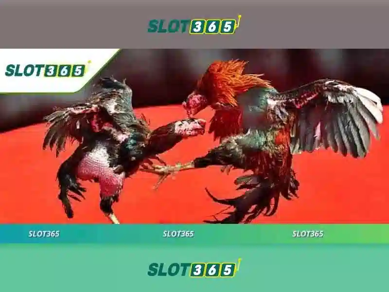 Slot365 rút tiền: Trải nghiệm và đánh giá tổng quan