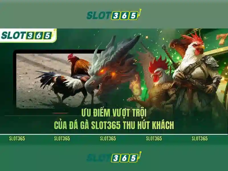 Slot365: Khám phá nền tảng máy đánh bạc trực tuyến