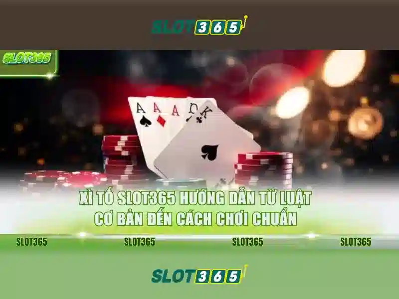 Khuyến mãi và chương trình thưởng\n\n