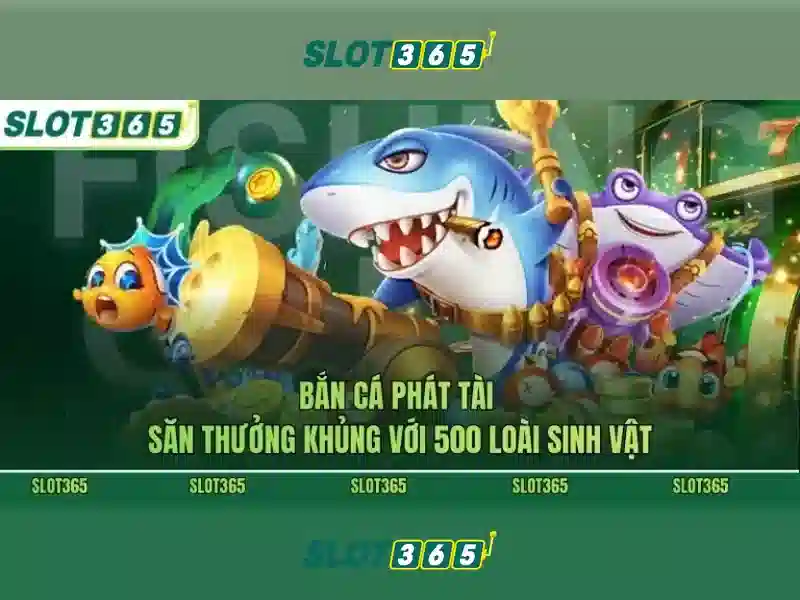 Trải nghiệm người dùng và di động