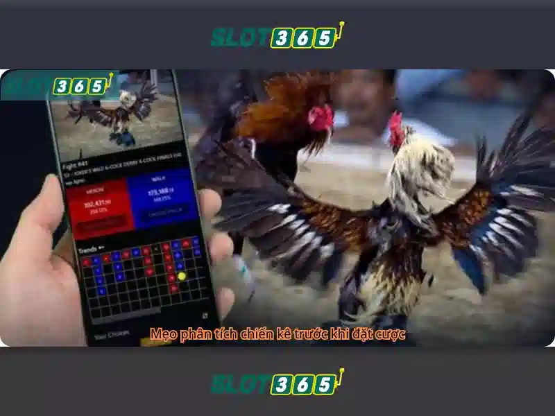 Slot365: Trải nghiệm trò chơi slots trực tuyến đỉnh cao