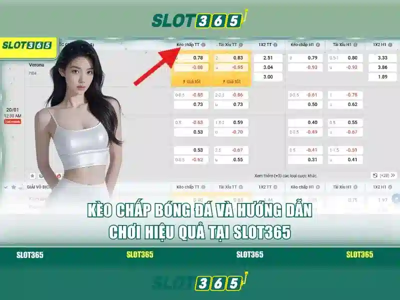 Slot365 - Tổng quan về nền tảng đánh bạc trực tuyến nổi bật