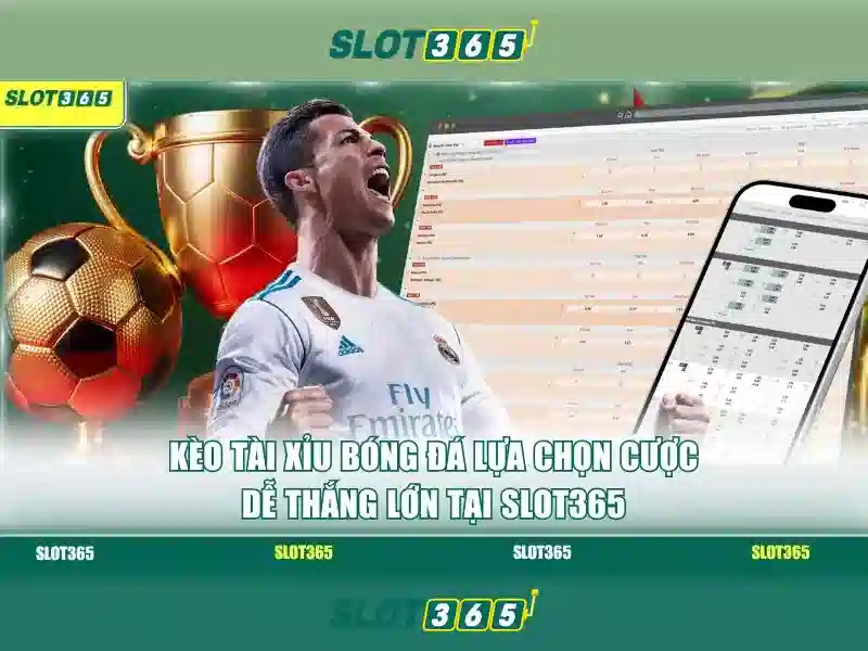 Giao diện người dùng và trải nghiệm di động