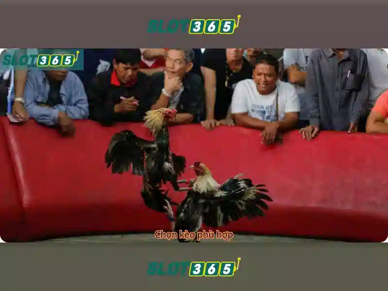 Slot365: Nền tảng chơi slot trực tuyến an toàn và hấp dẫn