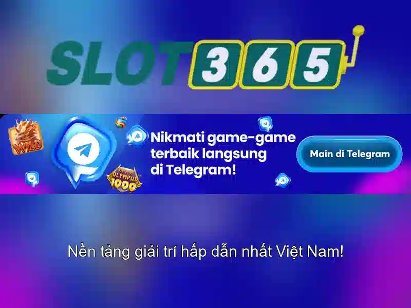 Kết luận và trải nghiệm\n