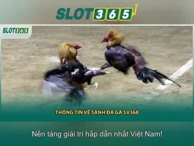 Hỗ trợ khách hàng và cộng đồng người chơi
