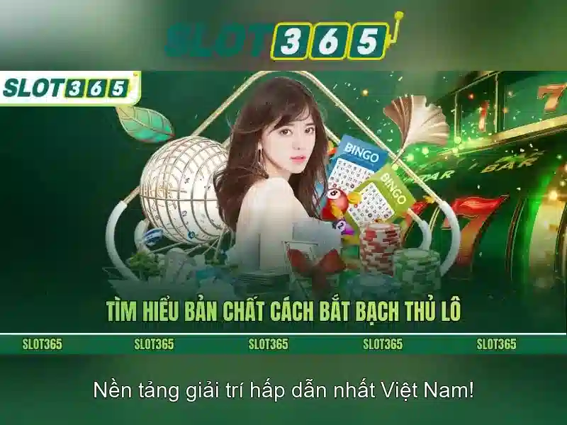 Khuyến mãn và thanh toán