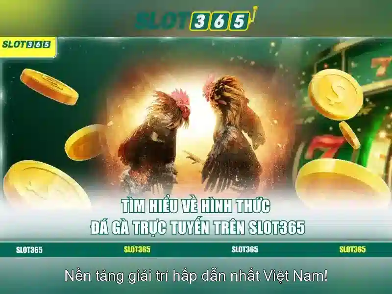 Slot365: Nen tang slot truc tuyen dang tin cay va trai nghiem tuyet voi