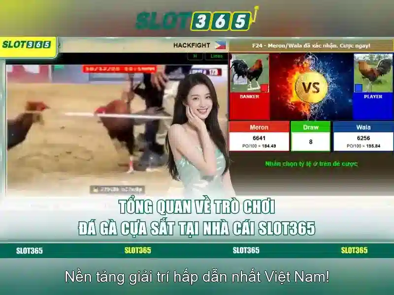 Cách tham gia Slot365
