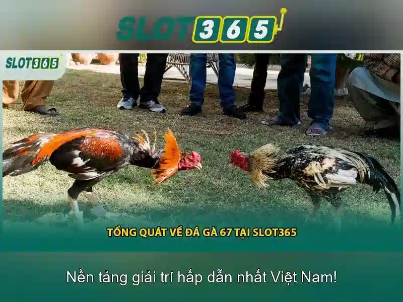 An toàn và công bằng\n
