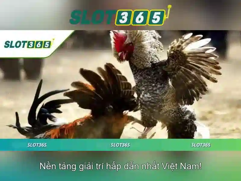 Khuyến mãi và thanh toán