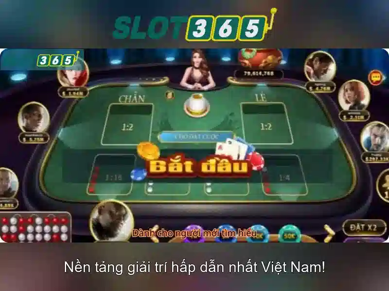 Trải nghiệm người dùng và tương thích di động\n