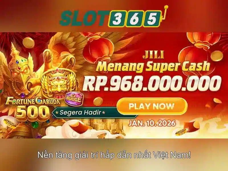Trải nghiệm người dùng và giao diện