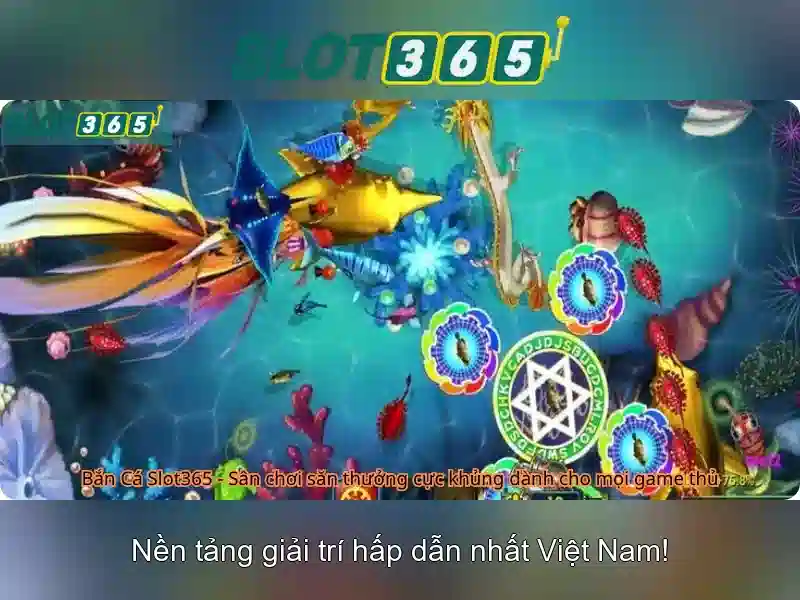 An toàn và nơi lưu trữ thông tin\n\n