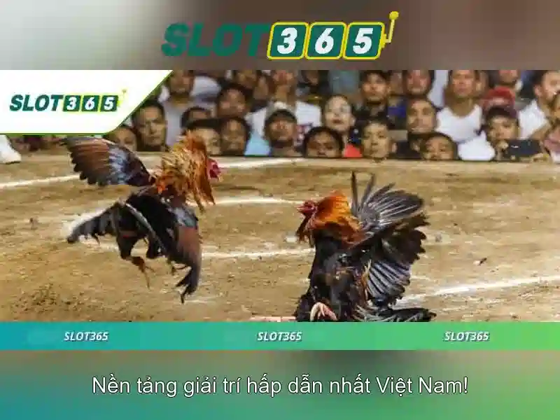 An toàn thanh toán và quản lý tài khoản