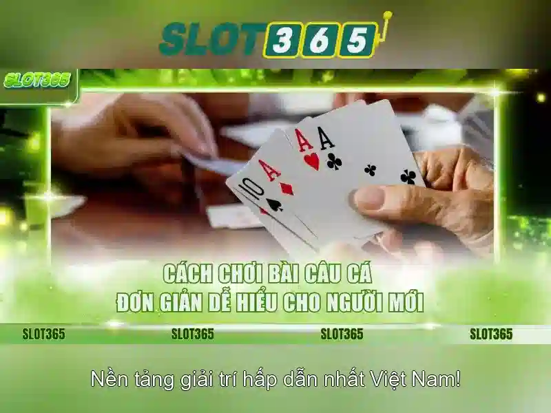 Slot365: Khám phá nền tảng slot trực tuyến đáng tin cậy