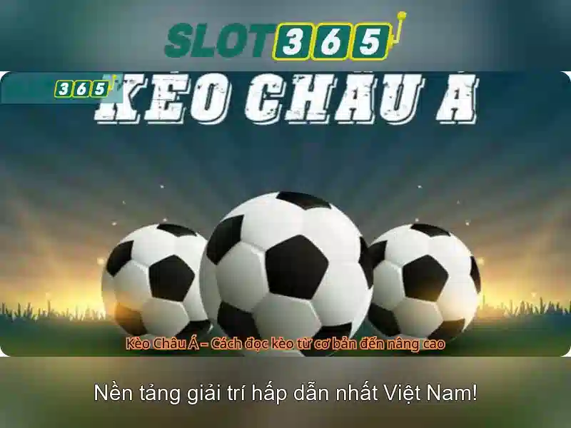 Slot365 — Nền tảng slot trực tuyến nổi bật