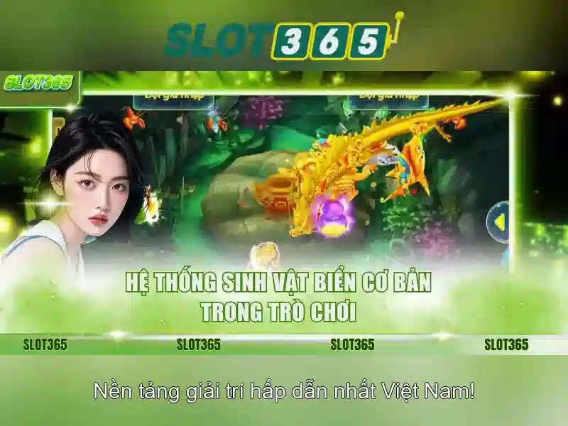 Chương trình khuyến mãi và an toàn người chơi