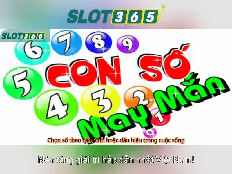 Slot365 - Tổng quan về nền tảng chơi xèng trực tuyến