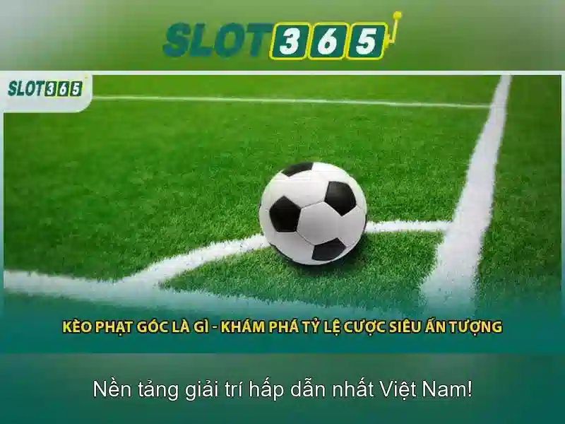 Giao diện người dùng và hiệu suất
