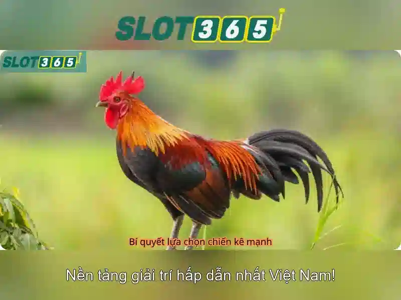 Giao diện người dùng và trải nghiệm\n