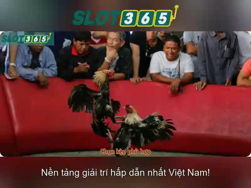 Các trò chơi có tại Slot365\n\n