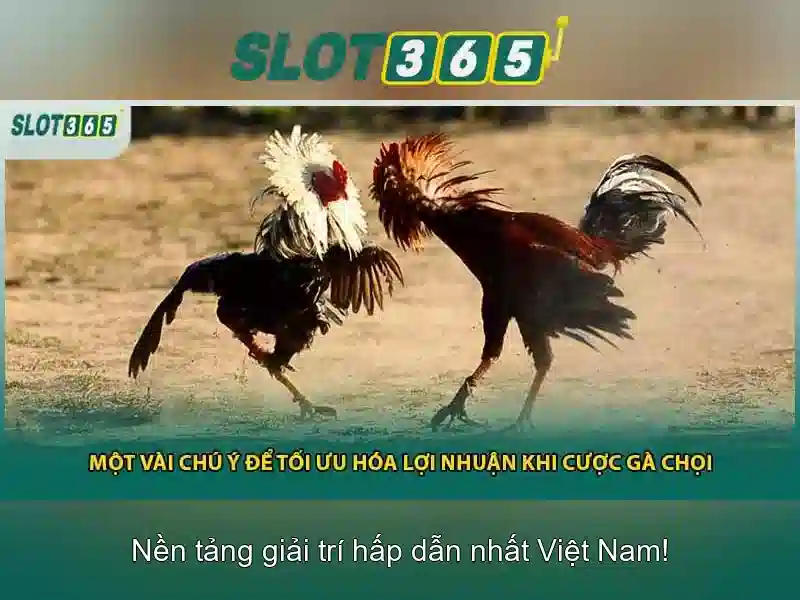 Cách chơi và đăng ký