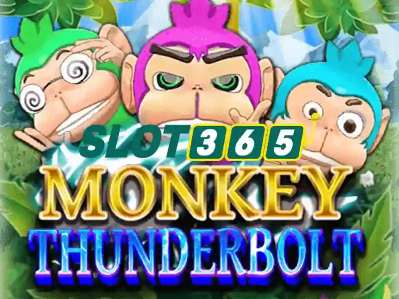 Slot365: Tổng quan về nền tảng cá cược máy quay số