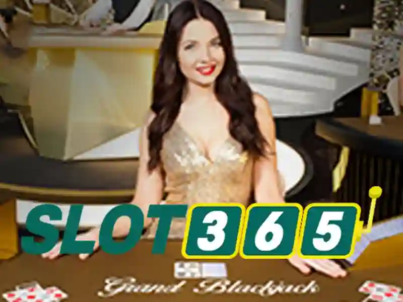 Slot365: Đánh giá nền tảng chơi xèng trực tuyến hàng đầu