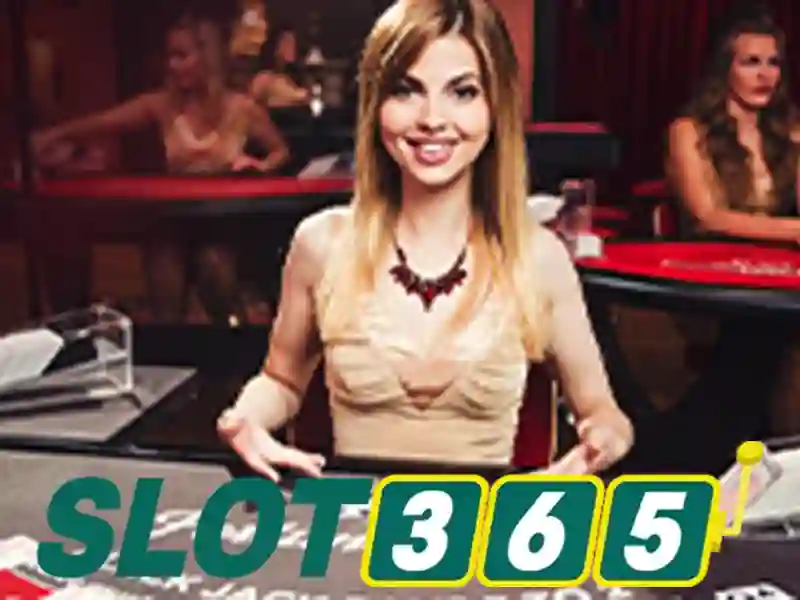 Slot365 là gì?\n