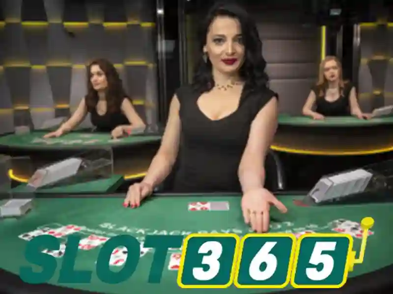 Slot365 - Tổng quan về nền tảng slot trực tuyến
