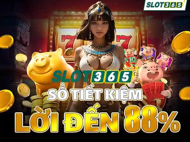 slot365 tang 200k – tổng quan và trải nghiệm người dùng