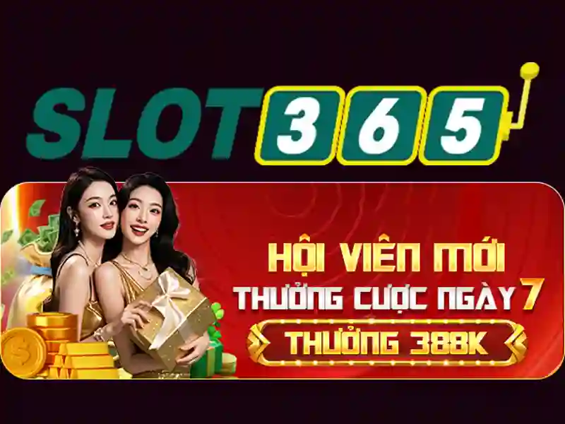 Trải nghiệm người dùng và giao diện