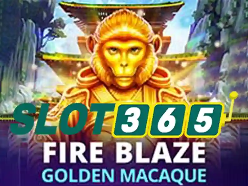 Khuyến mãi và chương trình thưởng tại Slot365