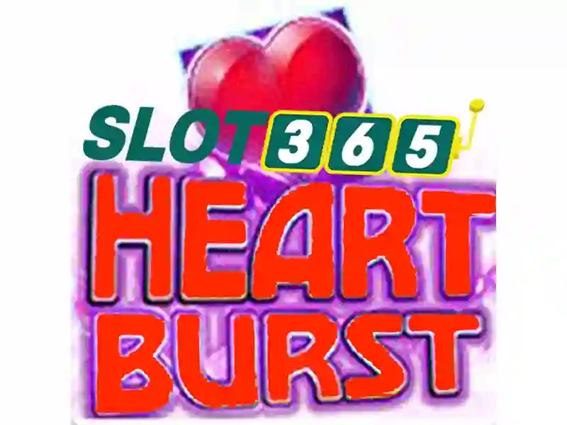 Trải nghiệm người dùng và phản hồi từ cộng đồng